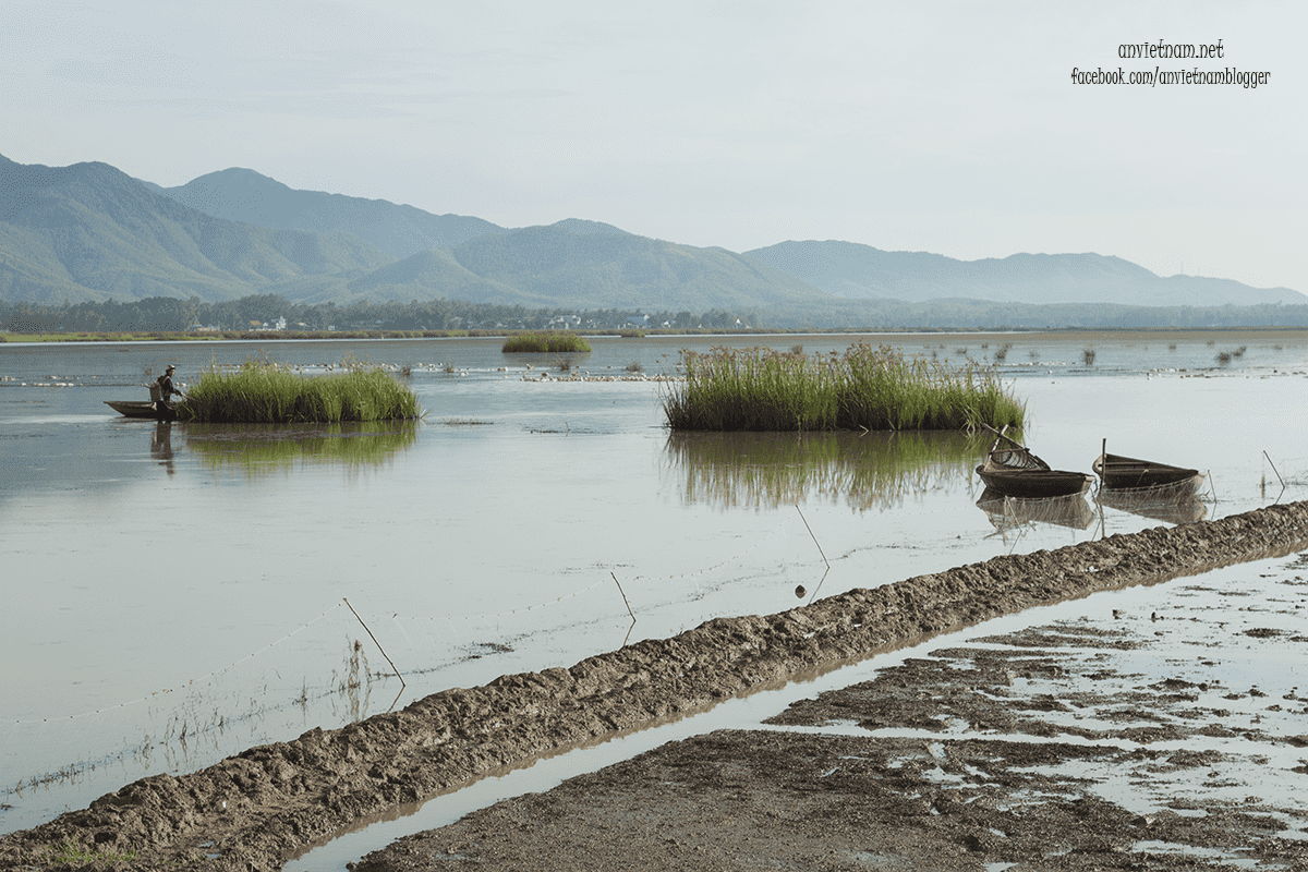 Đầm Trà Ổ Bình Định