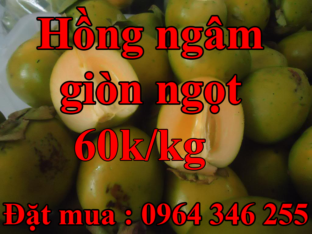 Hồng Ngâm Giòn Ngọt - 60k/kg 
