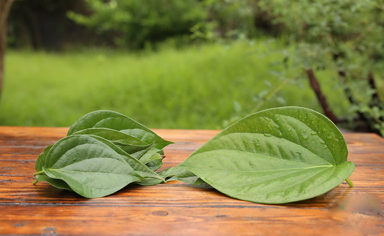 Thành phần dinh dưỡng của lá trầu