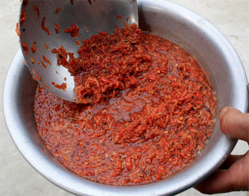 Cách sử dụng mắm tép