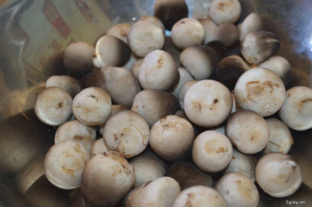 Nấm rơm sạch - 200k/kg