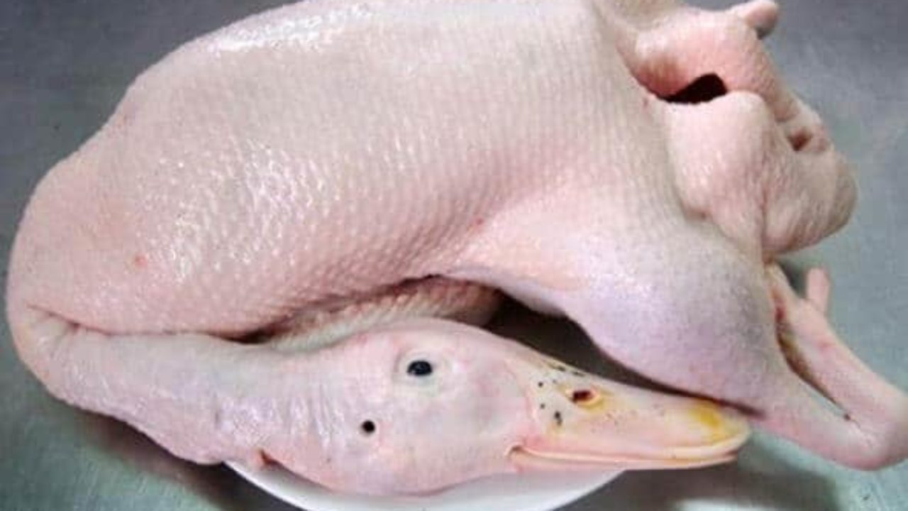 Ngan Tươi Thịt Sẵn - 160k/kg