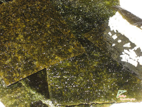 Tác dụng của Rong Biển.