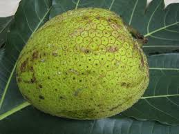 Quả Sake -  Giá Bán 65k/kg