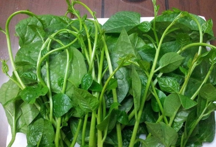 Rau mồng tơi giảm căng thẳng