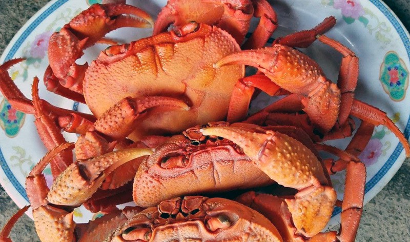 dinh dưỡng trong cua biển