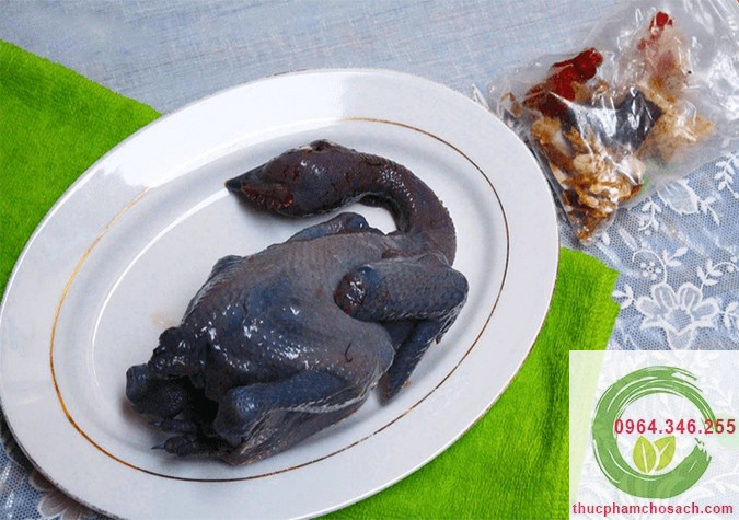 Giá trị dinh dưỡng mà gà ác mang lại