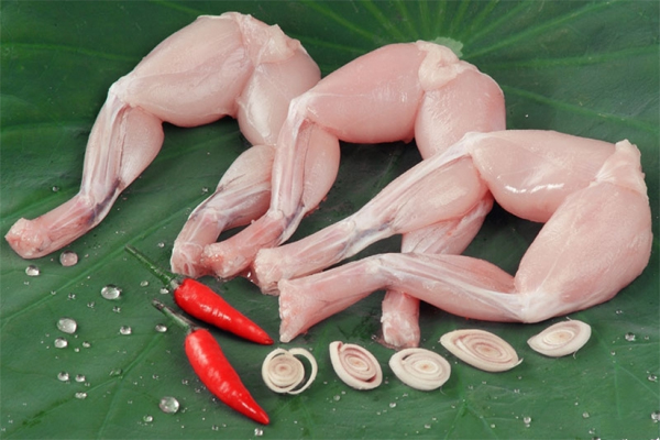 Tác dụng của thịt ếch đối với sức khoẻ