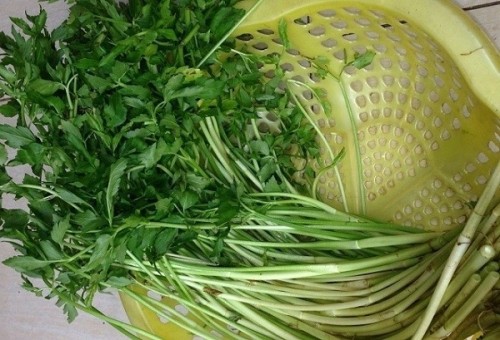 Cách chế biến thịt bò xào rau cần