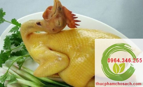 Món gà hấp sả lá chanh 