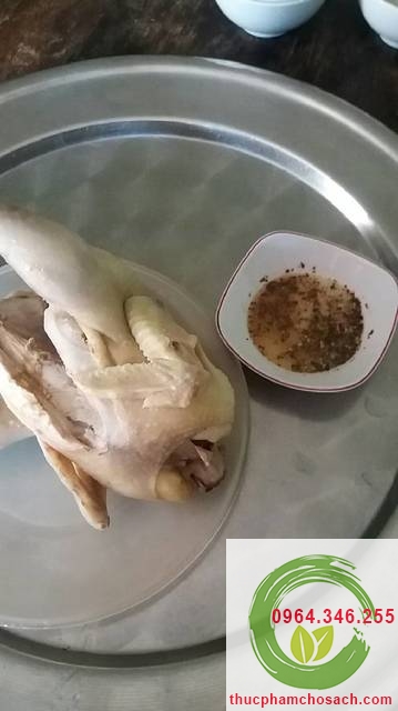 Món gà hấp muối