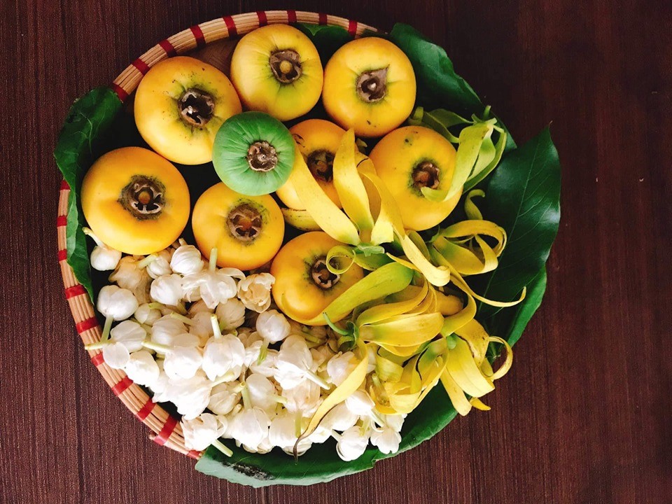 thị hoàng lan nhài