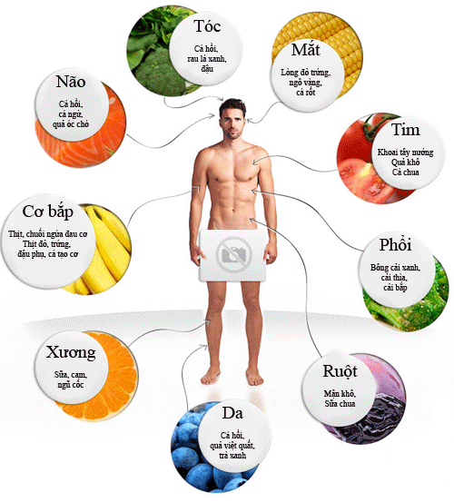 Những nguồn thức ăn tốt cho từng bộ phận cơ thể