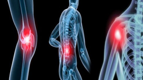 Bổ thận tráng dương và chữa trị viêm khớp với đuôi lợn